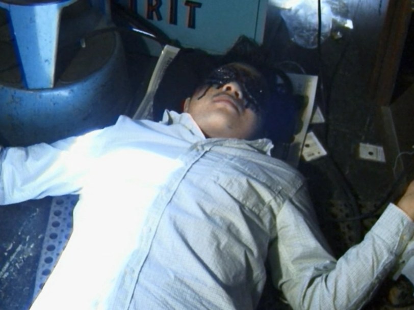 Birdemic eyes pecked out