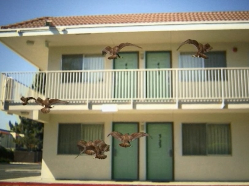 Birdemic motel attack