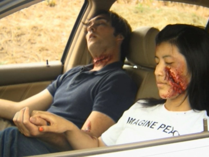 Birdemic throat slash