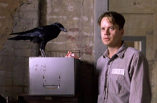 Shawshank Jake Crow