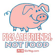 pigs_are_friends
