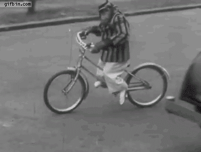 monkey_riding_a_bike