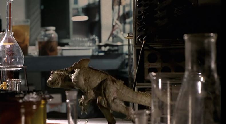 HEY! What about me?!