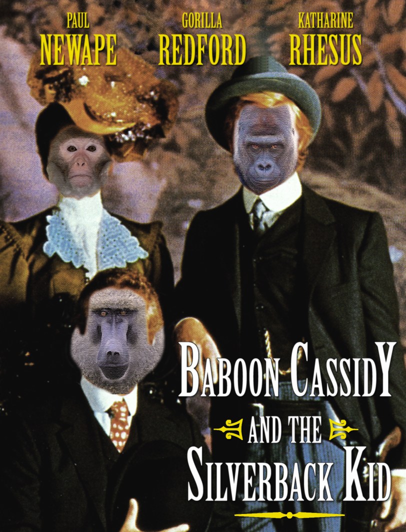 BaboonCassidy_new