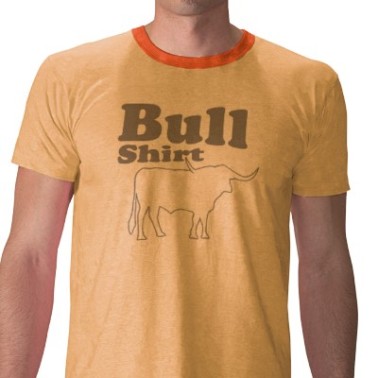 bull_shirt-p2359497976347777243sg9_4001