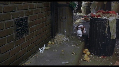 This one picture of Gizmo running between garbage cans is more interesting than anything that happens in Near Dark.