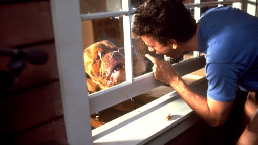 Turner and Hooch
