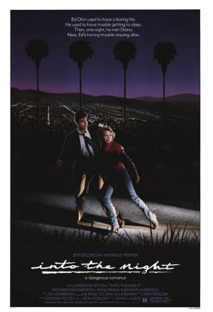 Into-the-night-poster