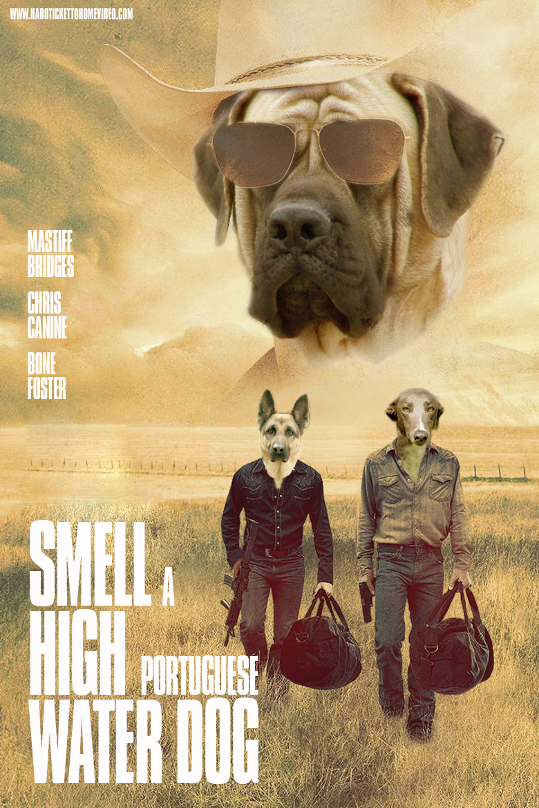smell-a-high-portuguese-water-dog
