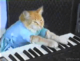 keyboard-cat